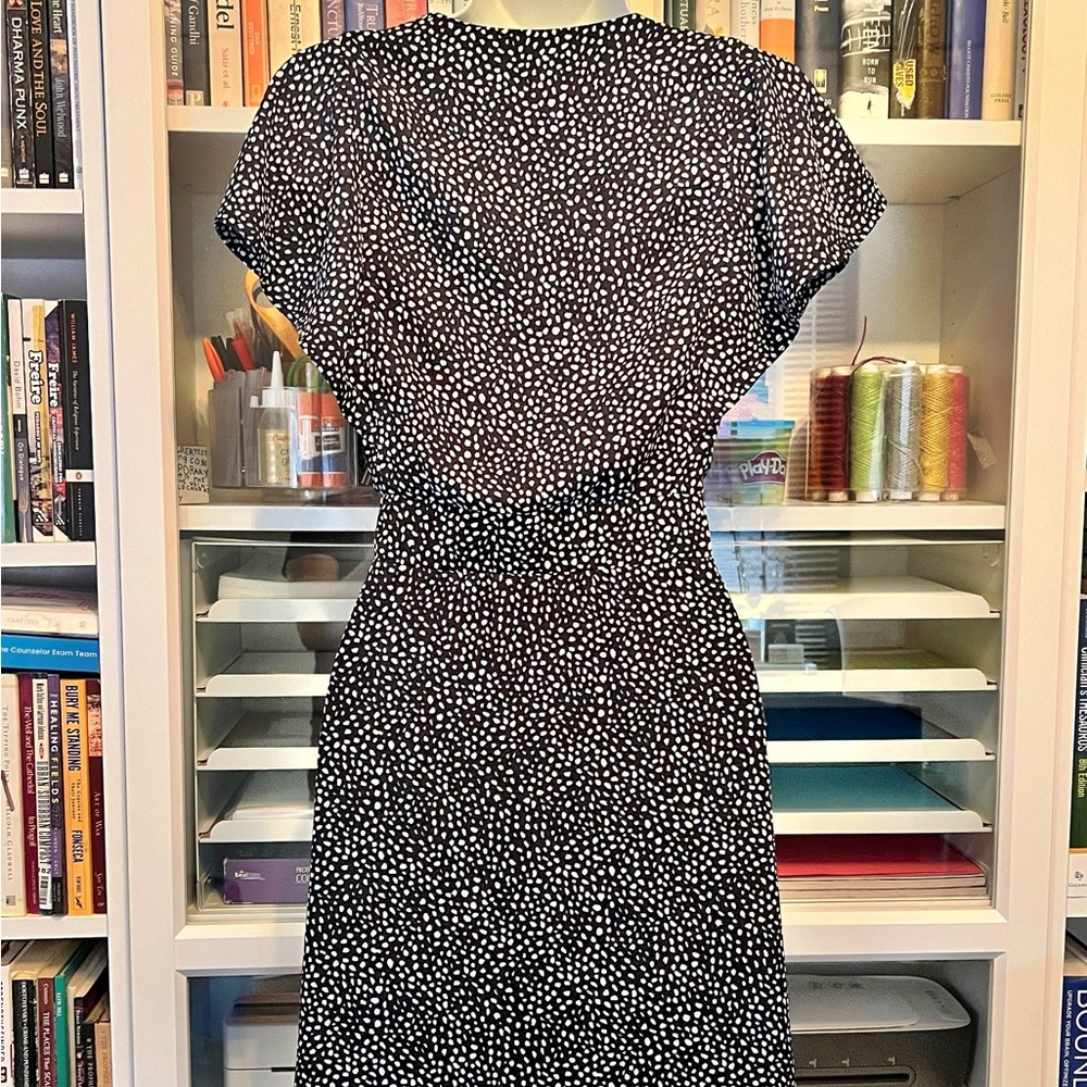 Express Shift Dress - Picture 2 of 2